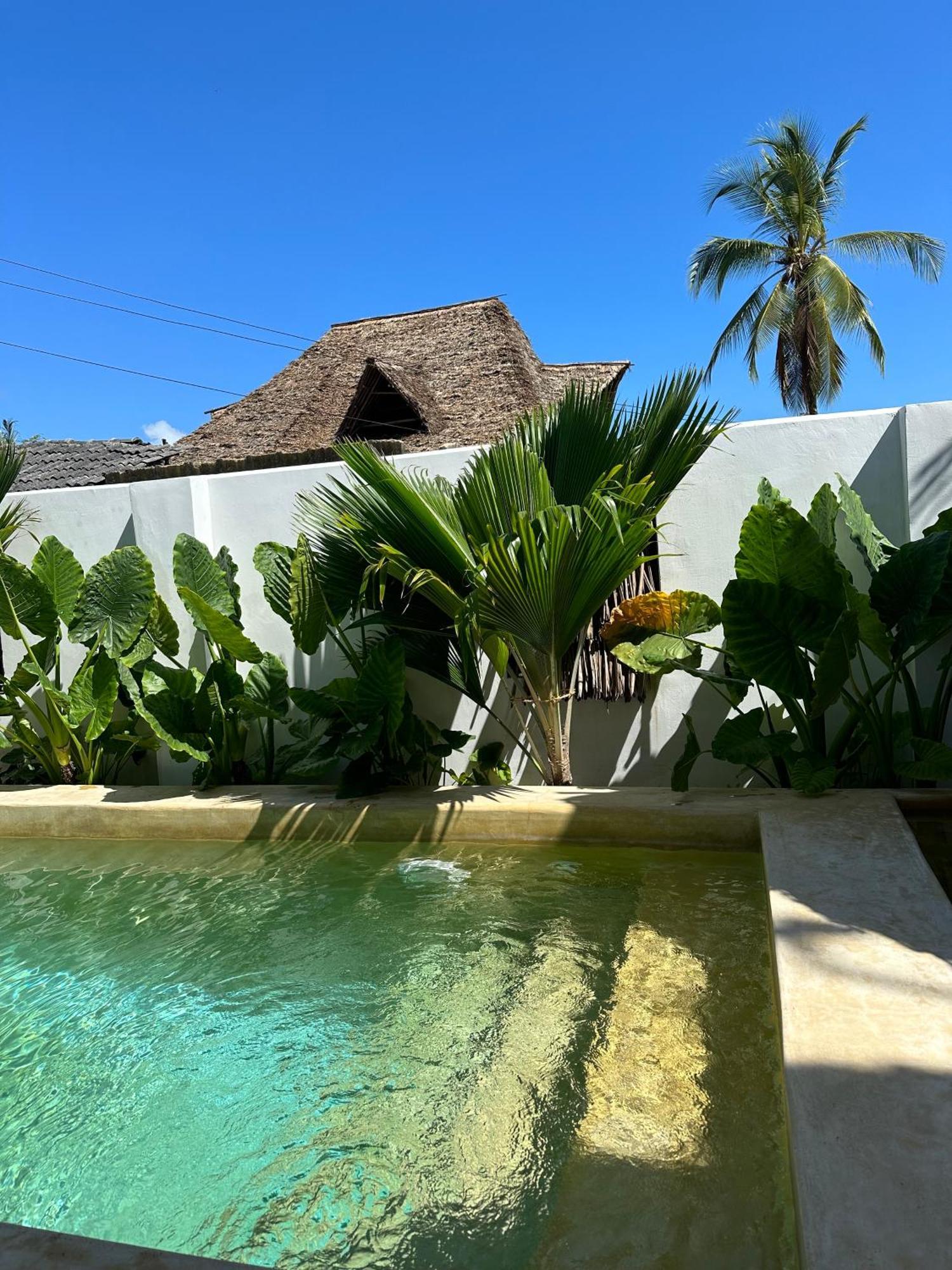 Mlango Paje Villa Boutique Exteriér fotografie