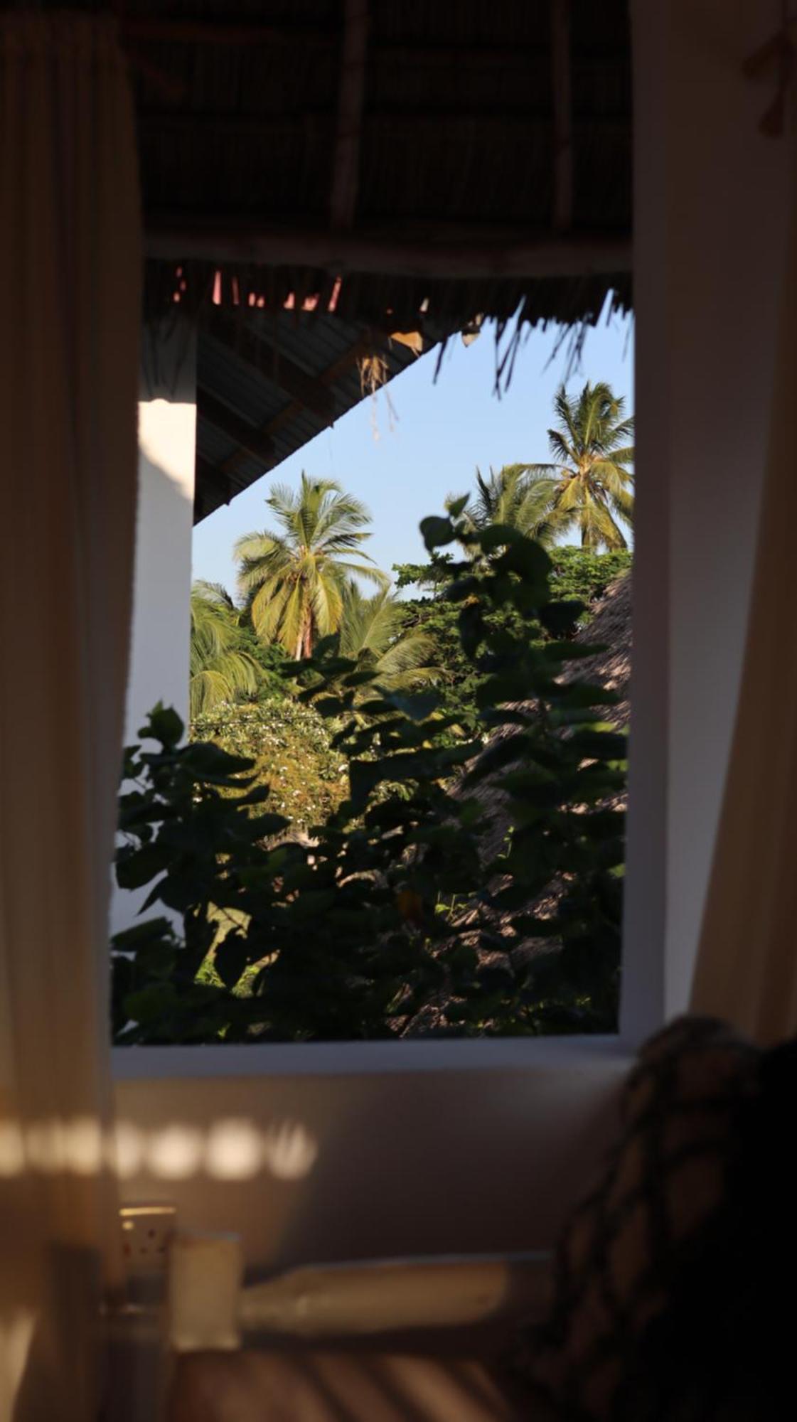 Mlango Paje Villa Boutique Exteriér fotografie